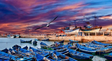 Explore Tangier medina with Trek Morocco Desert