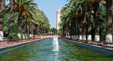 Visit Tarodant,Morocco with Trek Morocco Desert in guided tour